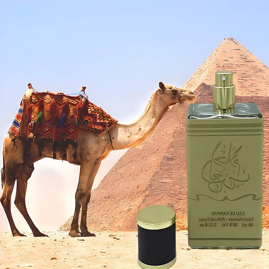 Original Perfume 80ml Lasting Fragrance Workdating Plant Floral Scent Arab Desert Spring Unisex Pheromone Perfumes Masculinos