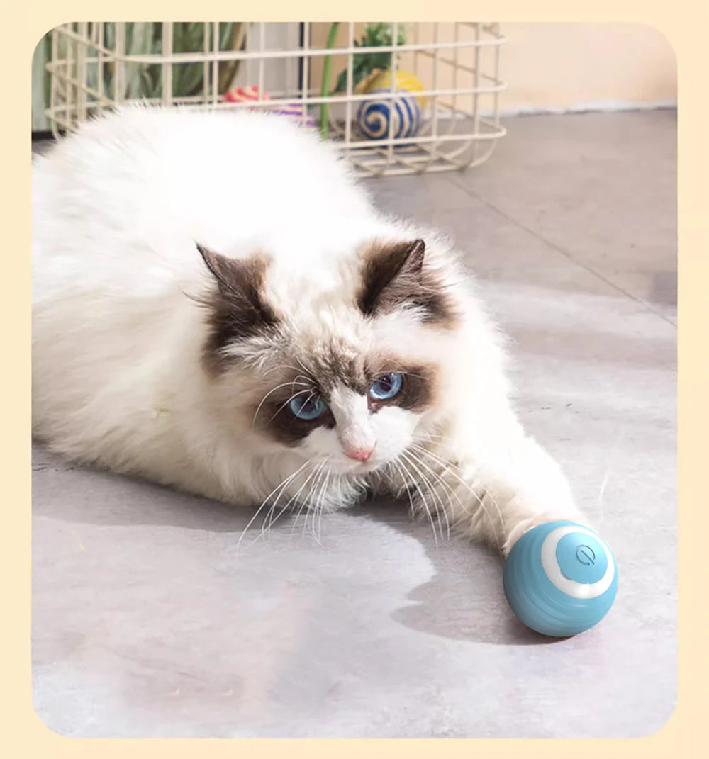 Smart Cat Toy Automatic Rolling Ball Cat Interactive Ball Usb Rechargeable Electric Moved Rotating Cat Toys Pet Accessories